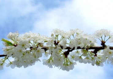 새 예루살렘―성의 치수들