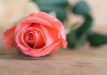 Who Can Ever Know the Feeling