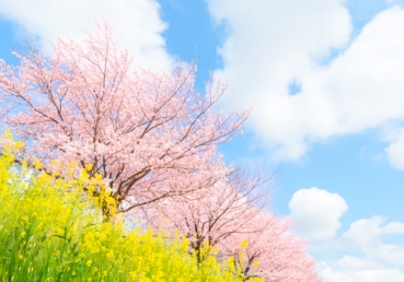 교회의 실행에 관한 우리 형제님들의 완전한 사역에 대하여 신실함(1)(한글)