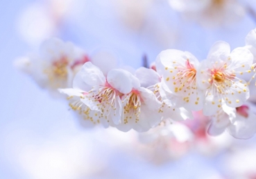 Life's Development For God's Purpose