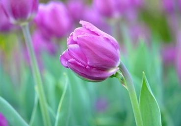 지방교회의 교리가 문제가 된 배경들
