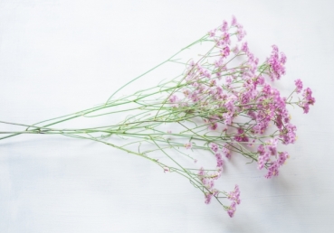 이단의 본질 연구(1)(유동근 목사) - 지방교회 측의 진단과 평가