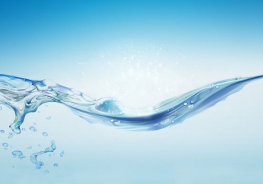 다시 꿈틀대는 한국 지방교회??