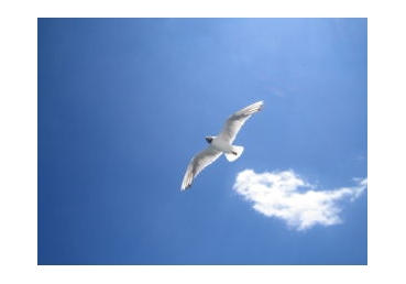 계시를 구하는 기도