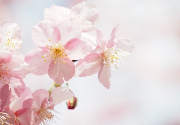 Rise up, stand up, look up, build up