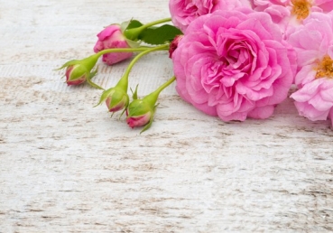 Stone-ify me for Your building