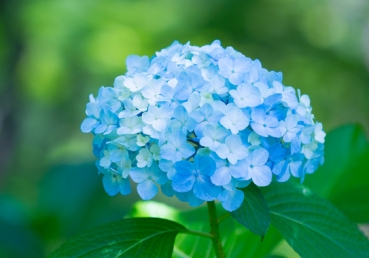 I am the Lord’s! O joy beyond expression