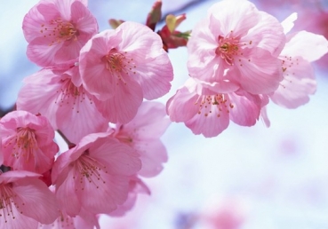 지방 교회들에 대한 이인규님의 거짓말(8)