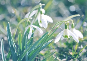 Archie Hui 의 워치만 니 성령론 비판에 대한 반론