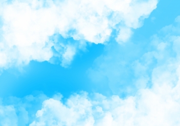 변호와 확증을 위한 프로젝트(DCP)