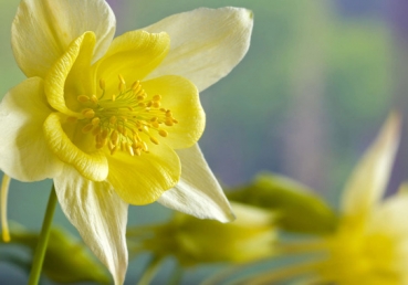 주의 회복―개혁전의 역사(1)