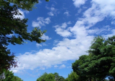 생명주는 영 (고전 15:45)