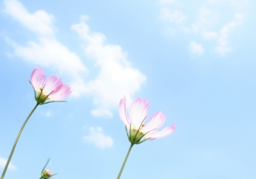 “무엇이 지방교회에서 떠나게 했는가?”(유동근 목사) - 지방교회 측의 진단과 평가