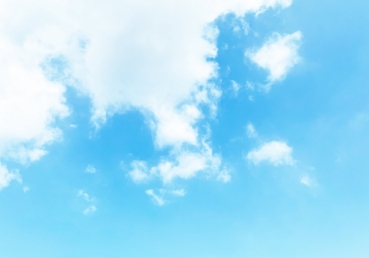 몸의 원칙 안에서 교회의 책임을 감당함