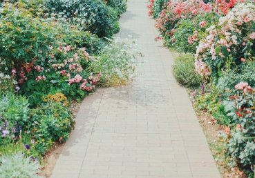 신성한 진리의 양면성