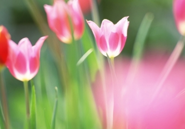 Seek the Lord while He may be found