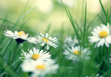 미국 CRI의 지방교회측 인도자들과의 방송 대담-전편