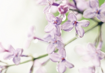 Oh The Joy - And They Overcame