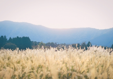 교회의 실행에 관한 우리 형제님들의 완전한 사역에 대하여 신실함(2)(한글)
