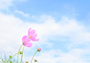 지난 40년을 회고하며(53) [함께하다가 떠난 분들의 댓글에 대한 증언] (유동근 목사) - 지방교회 측의 진단과 평가