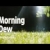 지방교회 찬송가 54회 - Morning Dew