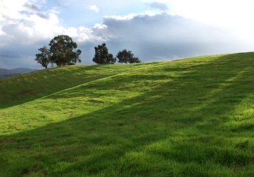 부활 후의 십자가의 부르심(2)