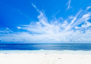 Set your mind on the things which are above