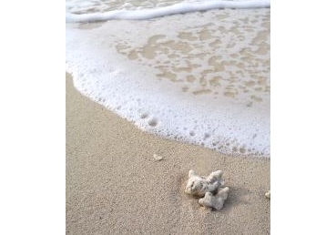 지방교회와 논쟁 중 드러난 최삼경 목사의 삼신론(1)