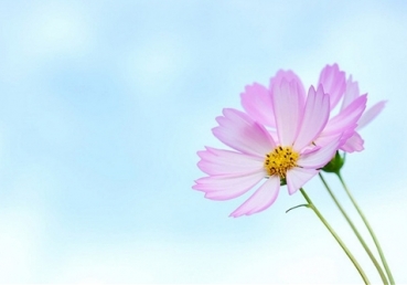 요한 일서 1장의 자백과 죄 씻음