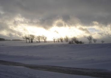 부활 후의 십자가의 부르심(1)