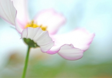 거듭난 믿는 이도 여전히 죄를 지을 수 있는가?