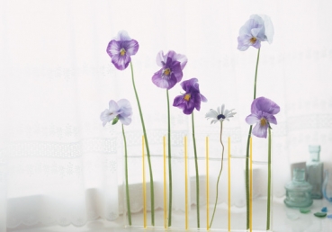 미국 CRI의 지방교회측 인도자들과의 방송 대담-후편