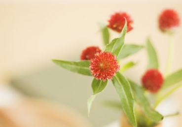 주의 회복―개혁전의 역사(2)