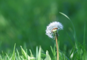 그리스도를 살기 위하여 능동적-수동적이 됨