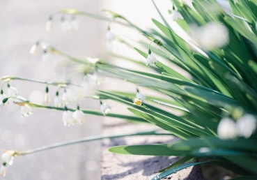 교회의 실행과 행정에 대한 사역의 가르침의 역사적 개요(한글)