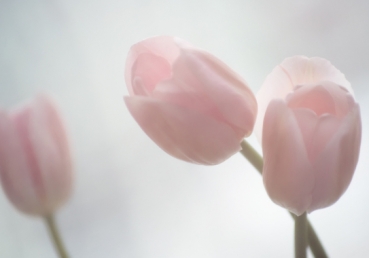 루터의 칭의론에 대한 더 깊은 연구