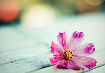 의인이 죄들을 자백하지 않으면 어떻게 되는가?