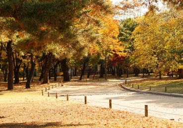 그리스도인의 생활에 균형이 필요함