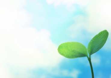 리빙 스트림 미니스트리와 지방교회들의 관계