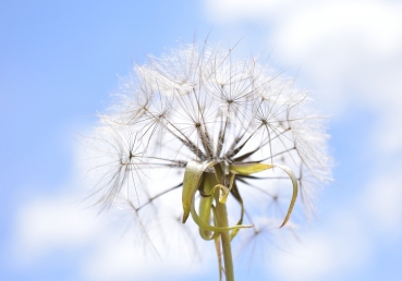 God in heaven hath a treasure