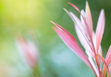 97차 예장합동 총회, "최삼경은 이단", "교회와 신앙은 이단동조 언론" 결의