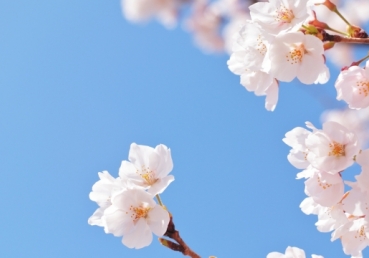 지방교회에서 "자아를 파쇄"하여 피동성을 주입시키는 방법?