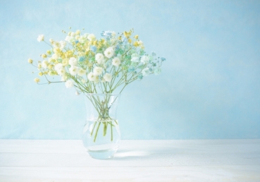 극단적 분리주의(신도나투스주의) 정죄에 대한 항의 및 시정 요청