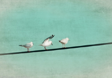 이인규님의 지방교회 양태론 비판의 실상