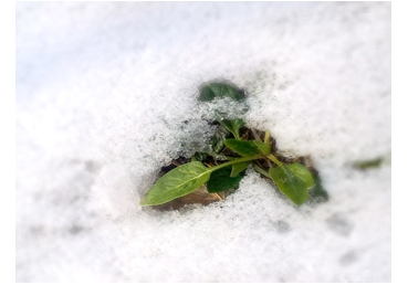 주님의 사역자의 성격―고난받을 마음가짐이 있어야 함