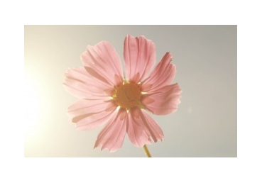 영의 느낌을 따름