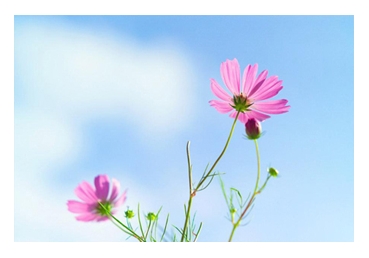 그분의 사역을 위한 첫번째 하나님-사람의 생활