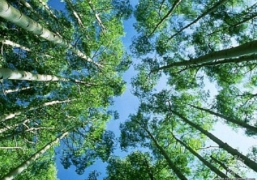 말씀의 사역의 최고봉