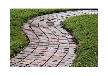 죄와 사망의 법