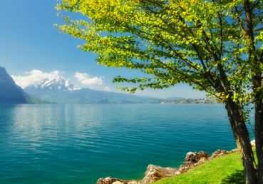 Many weary years I vainly sought a spring